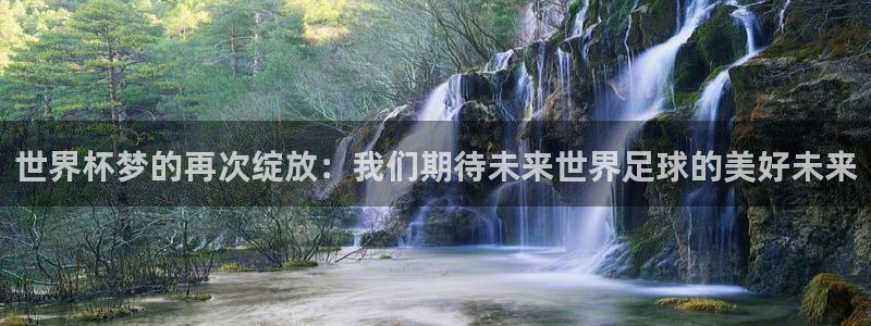 2026年世界杯直播平台：世界杯梦的再次绽放：我们期待未来世界足球的美好未来