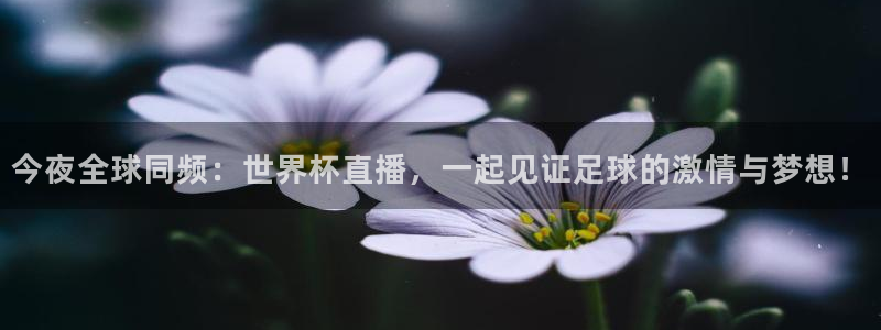 世界杯附加赛赛程表：今夜全球同频：世界杯直播，一起见证足球的激情与梦想！