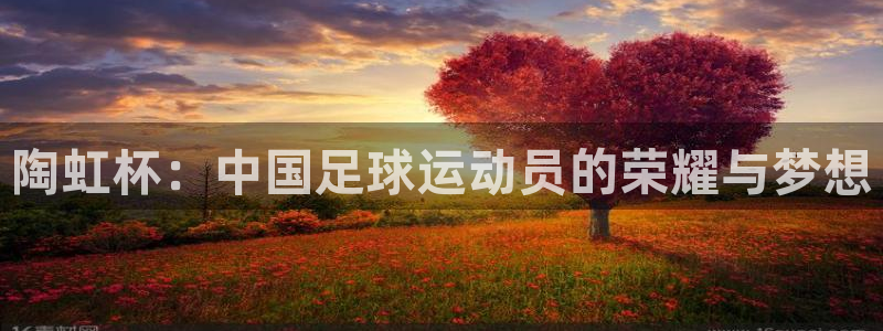 世界杯直播时间：陶虹杯：中国足球运动员的荣耀与梦想