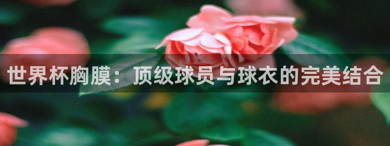 2026世界杯官网入口：世界杯胸膜：顶级球员与球衣的完美结合