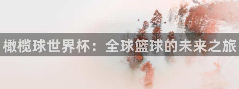 世界杯预选赛：橄榄球世界杯：全球篮球的未来之旅
