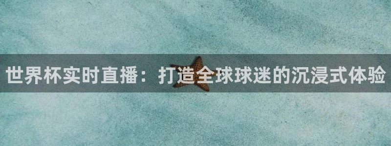 葡萄牙世界杯赛程：世界杯实时直播：打造全球球迷的沉浸式体验