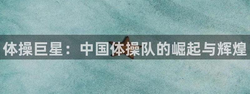 世界杯2026赛程：体操巨星：中国体操队的崛起与辉煌