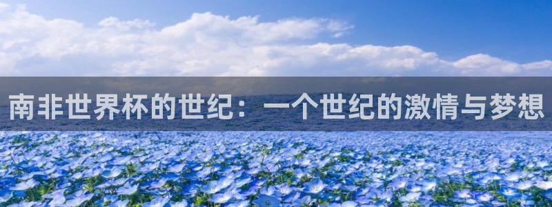 足球世界杯2026年赛程时间表：南非世界杯的世纪：一个世纪的激情与梦想